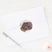 Orang-Utan Runder Aufkleber (Umschlag)