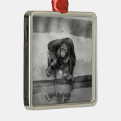 Orang-Utan Silbernes Ornament (Rechts)