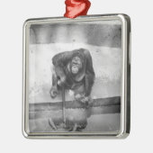 Orang-Utan Silbernes Ornament (Links)