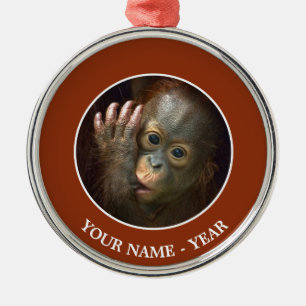 Orang-Utan Silbernes Ornament