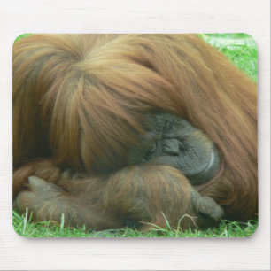 Orang-Utan Snoozing Mausunterlage Mousepad
