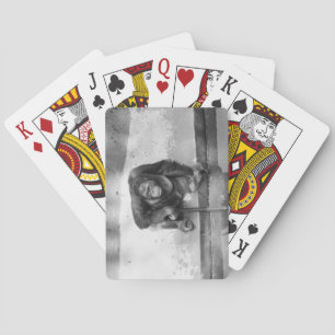 Orang-Utan Spielkarten