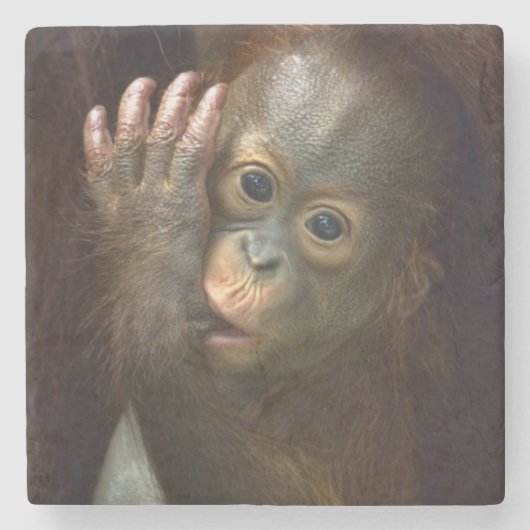 Orang-Utan Steinuntersetzer (Vorderseite)
