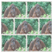 Orang-Utan Stoff (Muster)