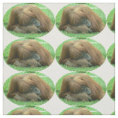 Orang-Utan Stoff (Muster)
