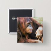 Orang-Utan Stützen Button (Vorne & Hinten)