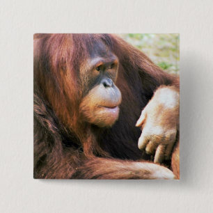 Orang-Utan Stützen Button