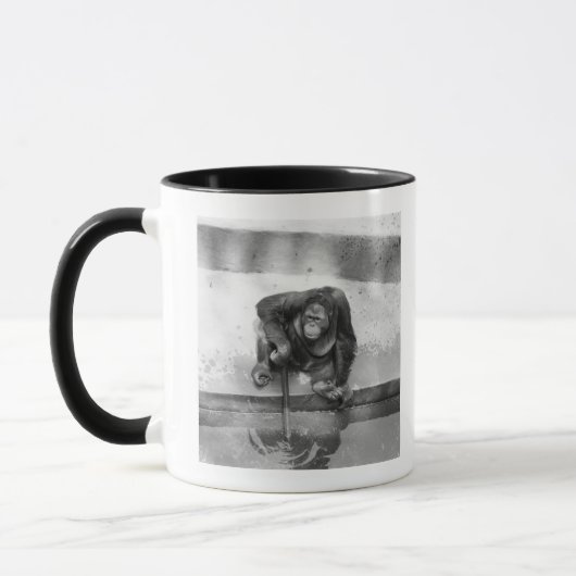 Orang-Utan Tasse (Links)