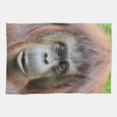 Orang-Utan Tee-Tuch Geschirrtuch (Horizontal)