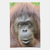 Orang-Utan Tee-Tuch Geschirrtuch (Vertikal)