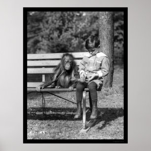 Orang-Utan und Junge in Park 1920 Poster
