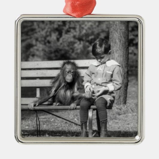 Orang-Utan und Junge - nationaler Zoo Ornament Aus Metall (Vorne)