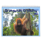 Orang-Utan Waisen Kalender (Titelbild)
