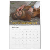 Orang-Utan Waisen Kalender (Mär 2027)