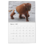 Orang-Utan Waisen Kalender (Feb 2027)