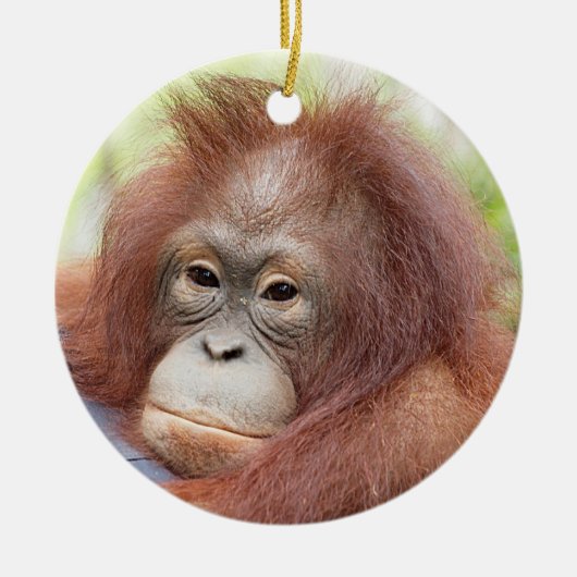 Orang-Utan Waisendr. Ann Keramikornament (Vorne)