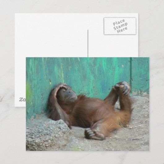 Orang-Utang-Baby Postkarte (Vorne/Hinten)