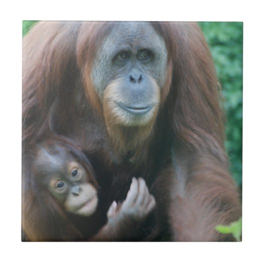 Orang-Utans Fliese (Vorderseite)