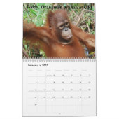 Orang-Utans im Regenwald Kalender (Feb 2027)