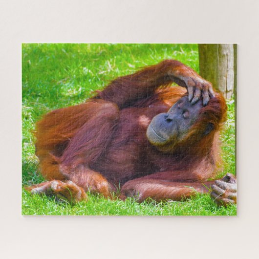 Orang-Utans. Puzzle (Horizontal)
