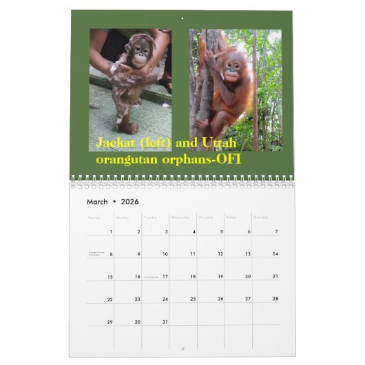 Orang-Utans Regenwald-wild lebende Tiere Kalender (Mär 2026)