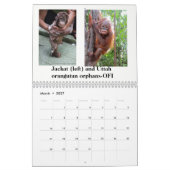 Orang-Utans retteten Waisen Kalender (Mär 2027)