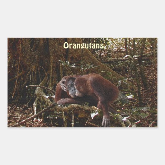 Orang-Utans u. Dschungel-großer Rechteckiger Aufkleber (Vorderseite)