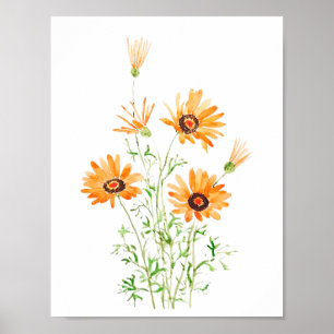 orange afrikanische Wilde Gänseblume handgemalte A Poster