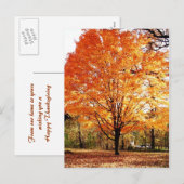 Orange Ahornblätter Thanksgiving Postkarte (Vorne/Hinten)