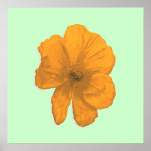 Orange Aid/PopArt-Blume Poster