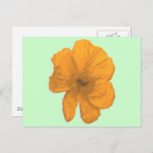 Orange Aid/PopArt-Blume Postkarte (Vorne/Hinten)