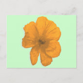 Orange Aid/PopArt-Blume Postkarte (Vorderseite)