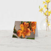 Orange Alstroemeria Lily Karte (Gelbe Blume)