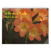 Orange Amaryllis Kalender (Titelbild)