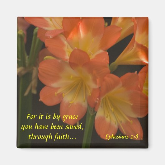 Orange Amaryllis Magnet (Vorne)