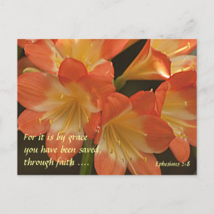 Orange Amaryllis Postkarte
