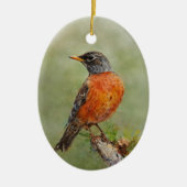 Orange American Robin Bird Painting Year Weihnacht Keramik Ornament (Vorne)