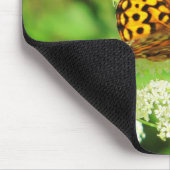 Orange and Black Butterfly on White Flower Mousepad (Ecke)