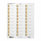 Orange and White Daisies Return Address Label (Vorne)