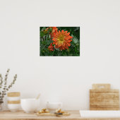 "ORANGE AND YELLOW DAHLIA" POSTER (Küche)