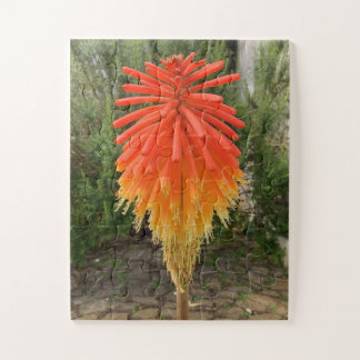 Orange and Yellow Flower Puzzle