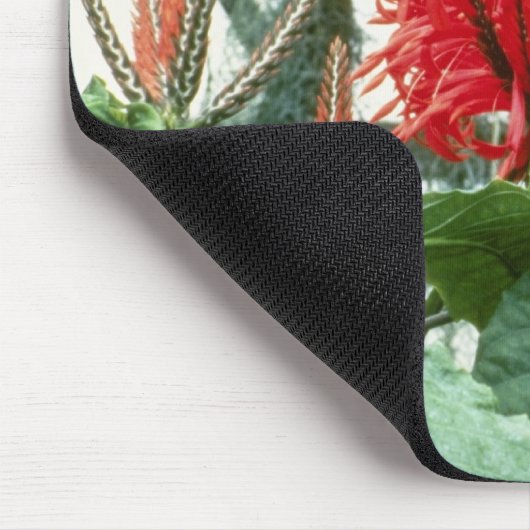 Orange Aphelandra Tetragona (Zebra-Pflanze) Blumen Mousepad (Ecke)