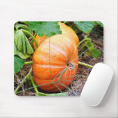 Orange Aschenputtel-Kürbis Mousepad (Mit Mouse)