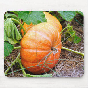 Orange Aschenputtel-Kürbis Mousepad