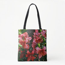 Orange Asiatic Lilies Floral
