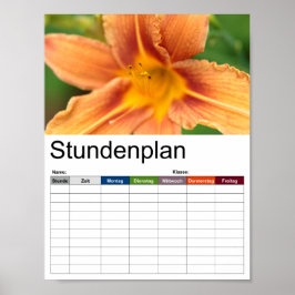 Orange Asiatic Lily Zeitplan Poster