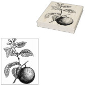 Orange auf Branntwein mit Blüten Gummistempel (Stempel)