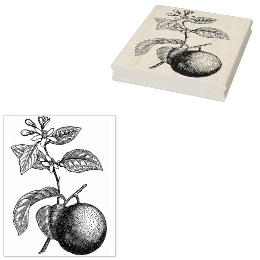 Orange auf Branntwein mit Blüten Gummistempel (Stempel)