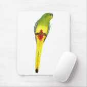 Orange-aufgeblähter Papagei - Neophema Mousepad (Mit Mouse)