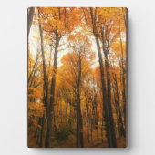 Orange Autumn Forest Fotoplatte (Vorderseite)